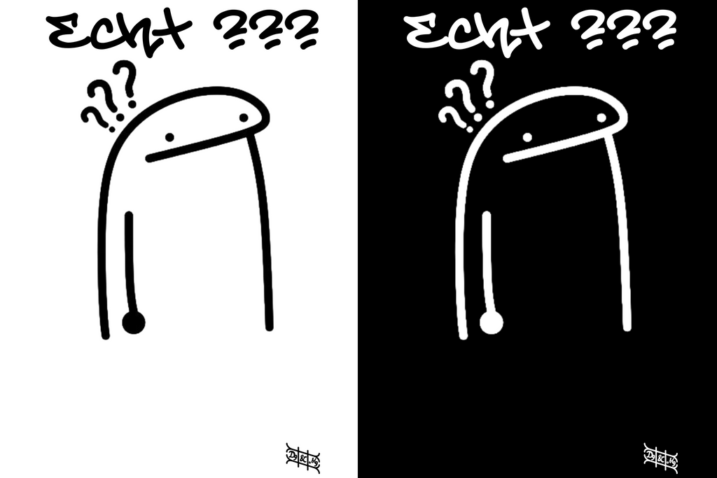 "Echt ???" Lustiges Statement T-Shirt - 100% Baumwolle